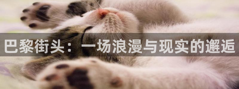 众腾娱乐：巴黎街头：一场浪漫与现实的邂逅
