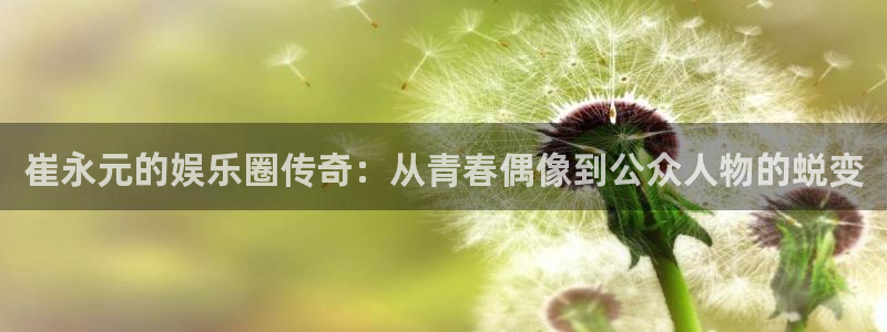 众腾娱乐：崔永元的娱乐圈传奇：从青春偶像到公众人物的蜕变