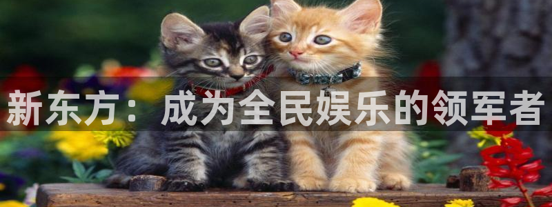 众腾娱乐：新东方：成为全民娱乐的领军者