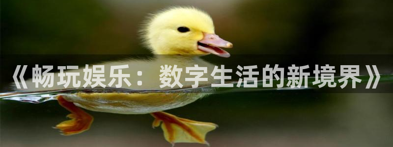 众腾娱乐：《畅玩娱乐：数字生活的新境界》