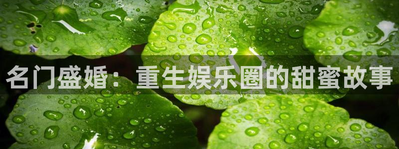 众腾娱乐